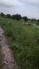 13 bigha land for sale